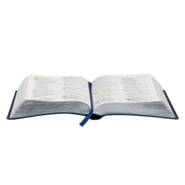 Bíblia Bilíngue NAA Capa Azul Ide E Pregai